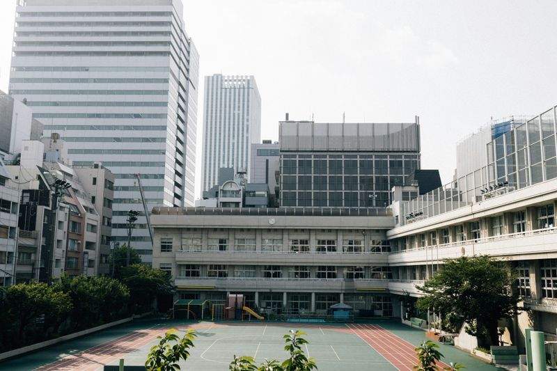 みらい学習アカデミー株式会社 5